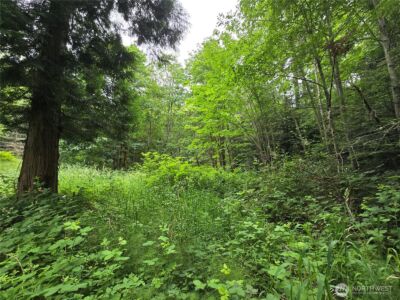 10307 NE Paradise Cove Lane (5 Lots) , Kingston, WA 98346 - Photo 10