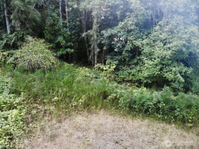 7625 NW Mountain Vista Lane , Silverdale, WA 98383 - Photo 22