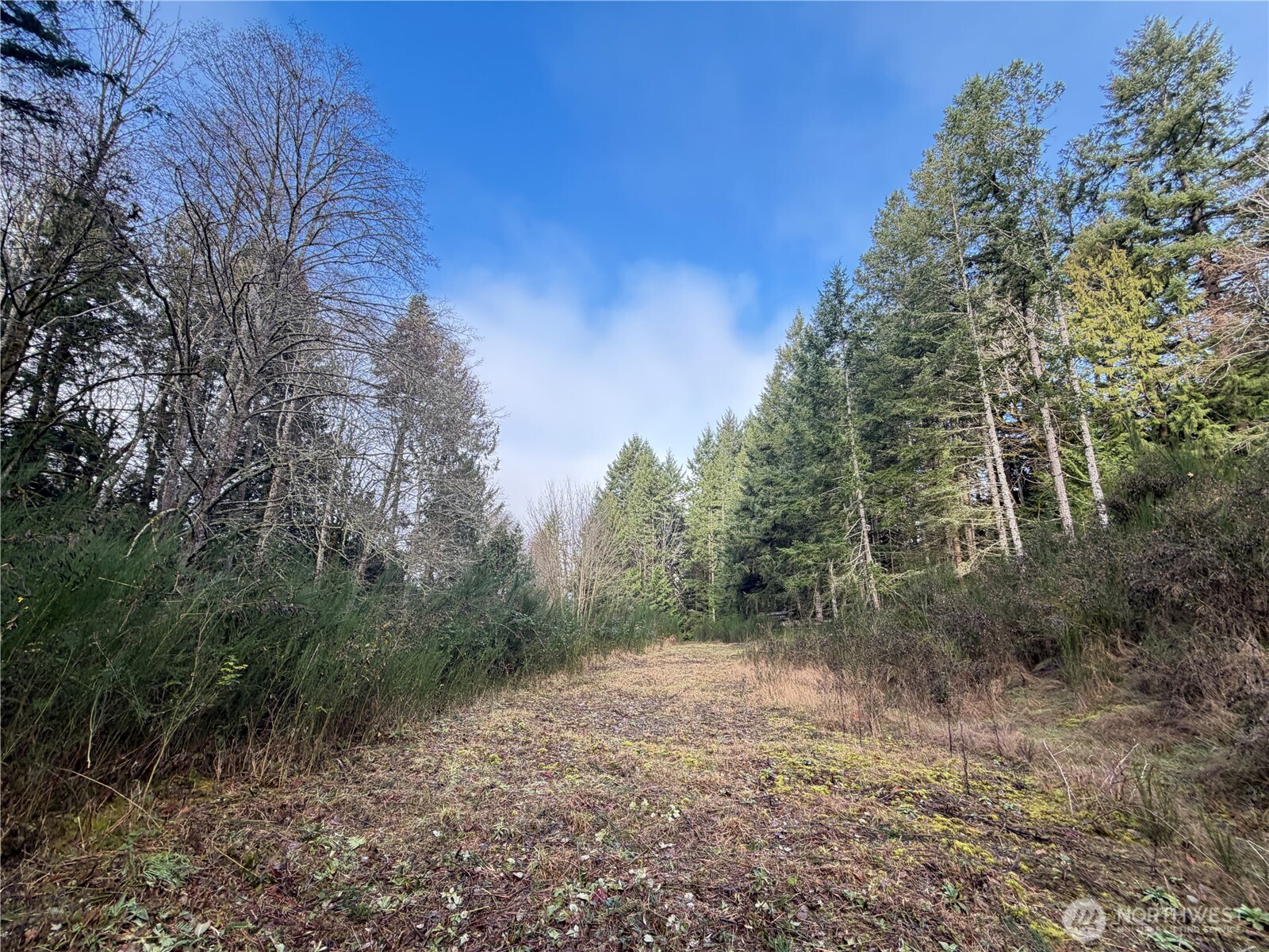 7625 NW Mountain Vista Lane , Silverdale, WA 98383
