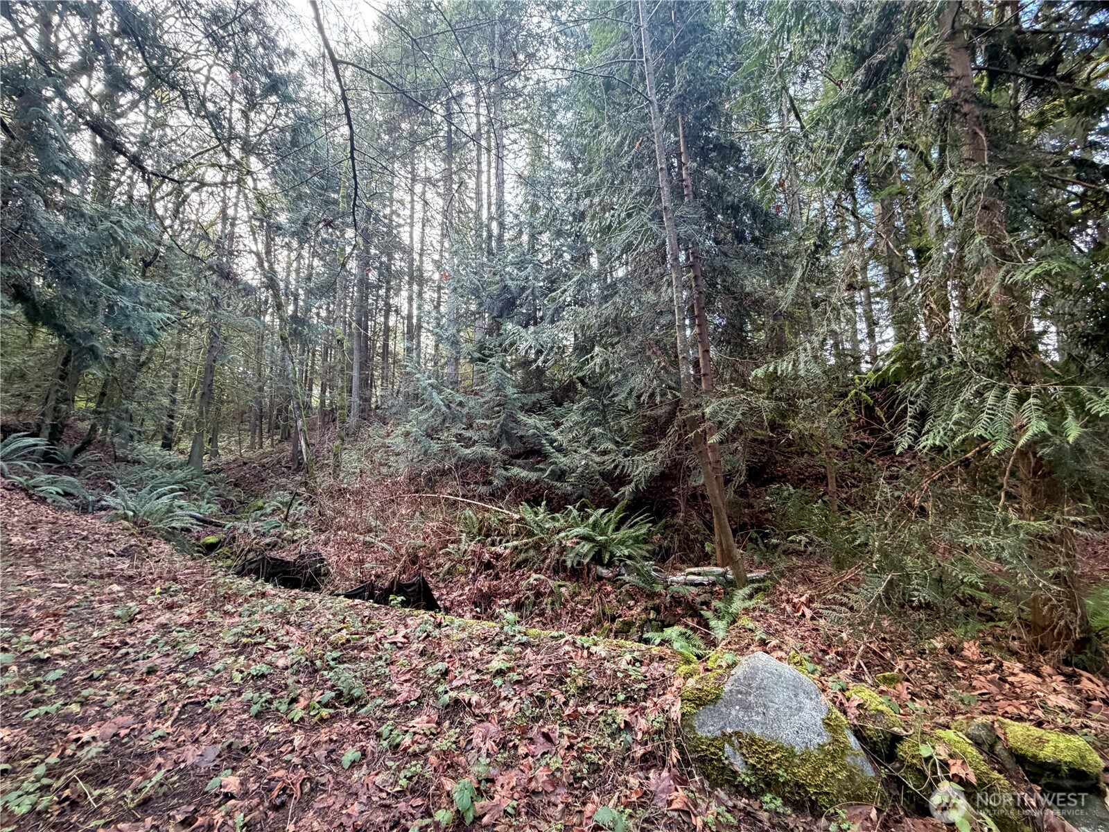 7625 NW Mountain Vista Lane , Silverdale, WA 98383