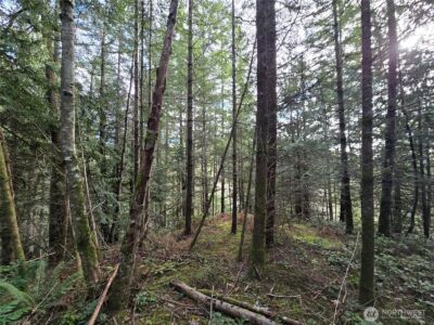 216 XX Bond Road NE, Poulsbo, WA 98370