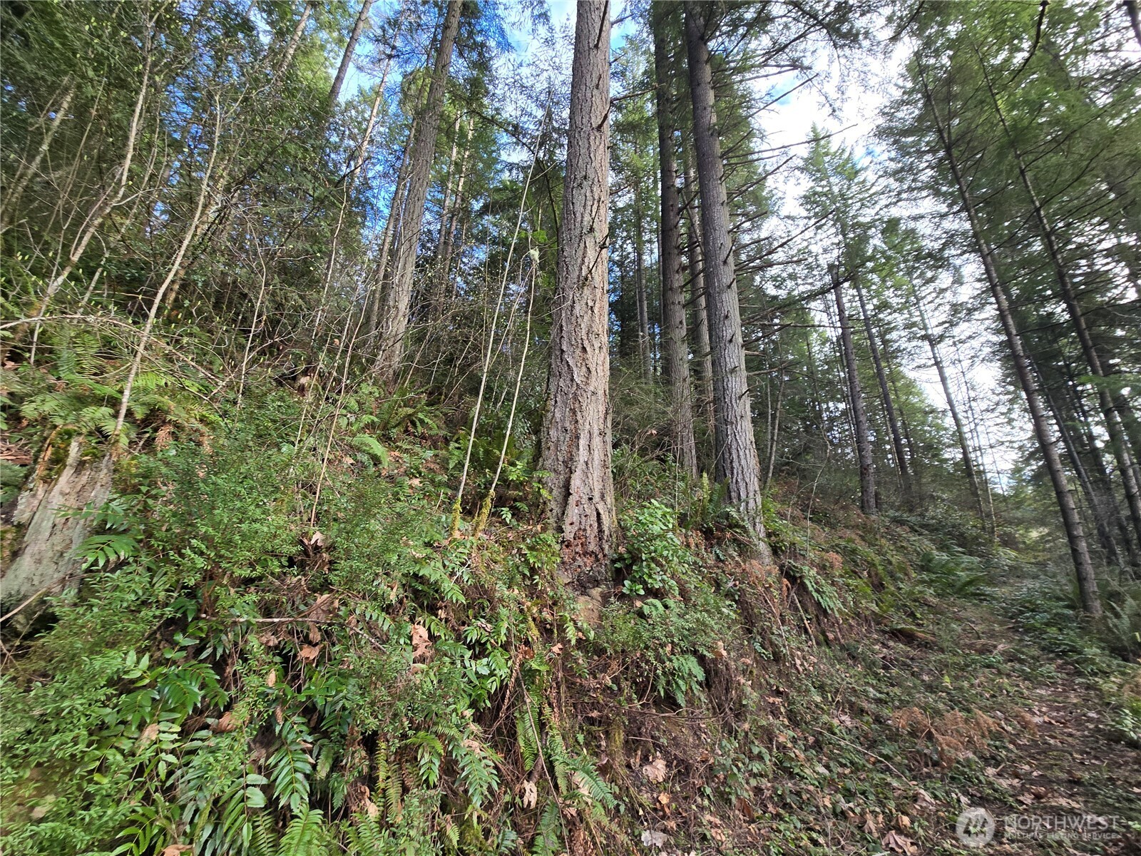 216 XX Bond Road NE, Poulsbo, WA 98370