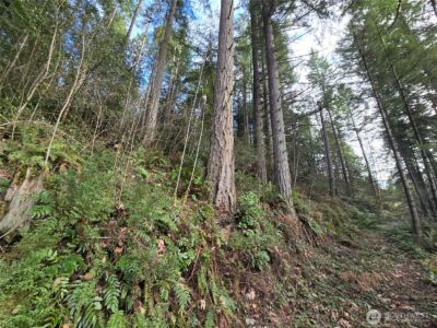 216 XX Bond Road NE, Poulsbo, WA 98370 - Photo 12