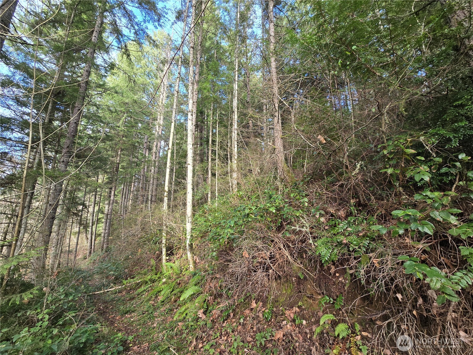 216 XX Bond Road NE, Poulsbo, WA 98370