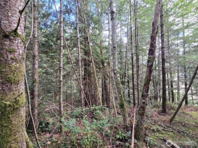 216 XX Bond Road NE, Poulsbo, WA 98370 - Photo 16