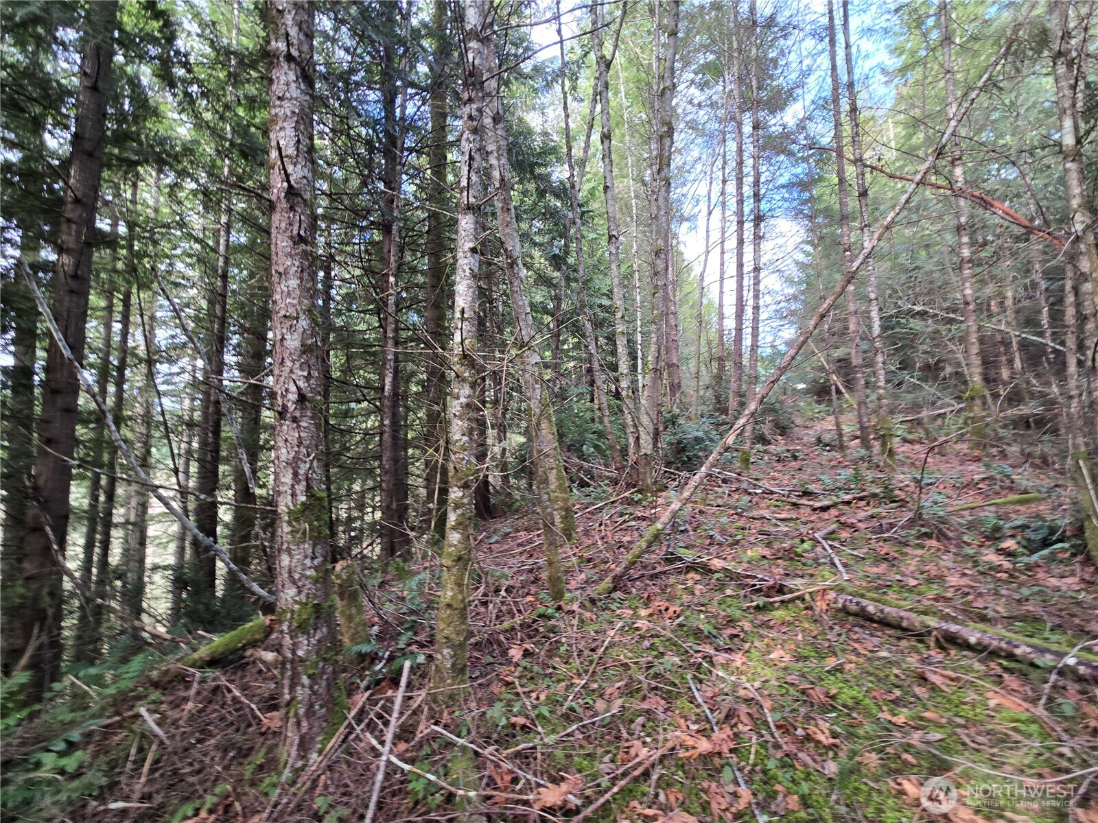 216 XX Bond Road NE, Poulsbo, WA 98370