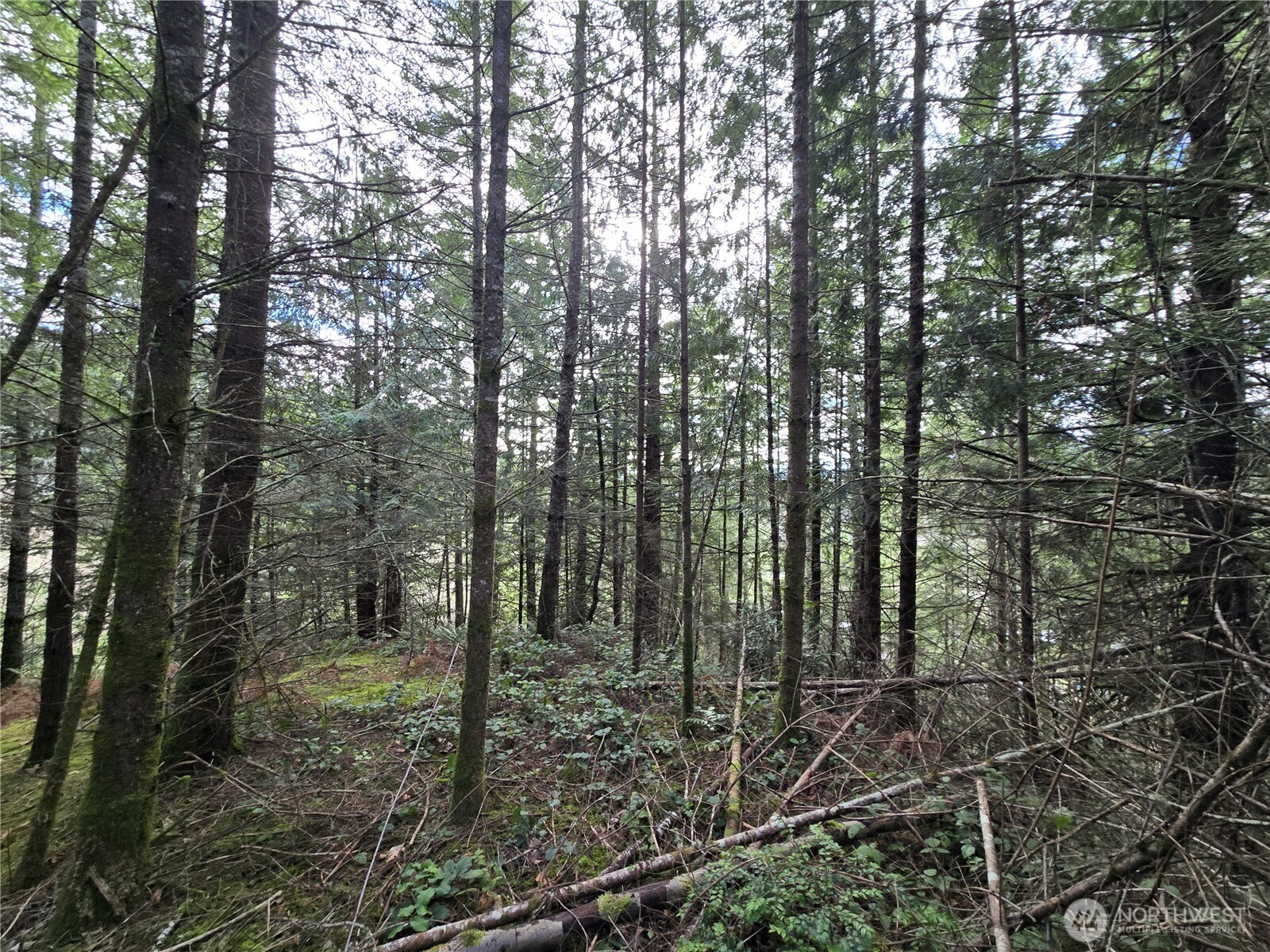 216 XX Bond Road NE, Poulsbo, WA 98370