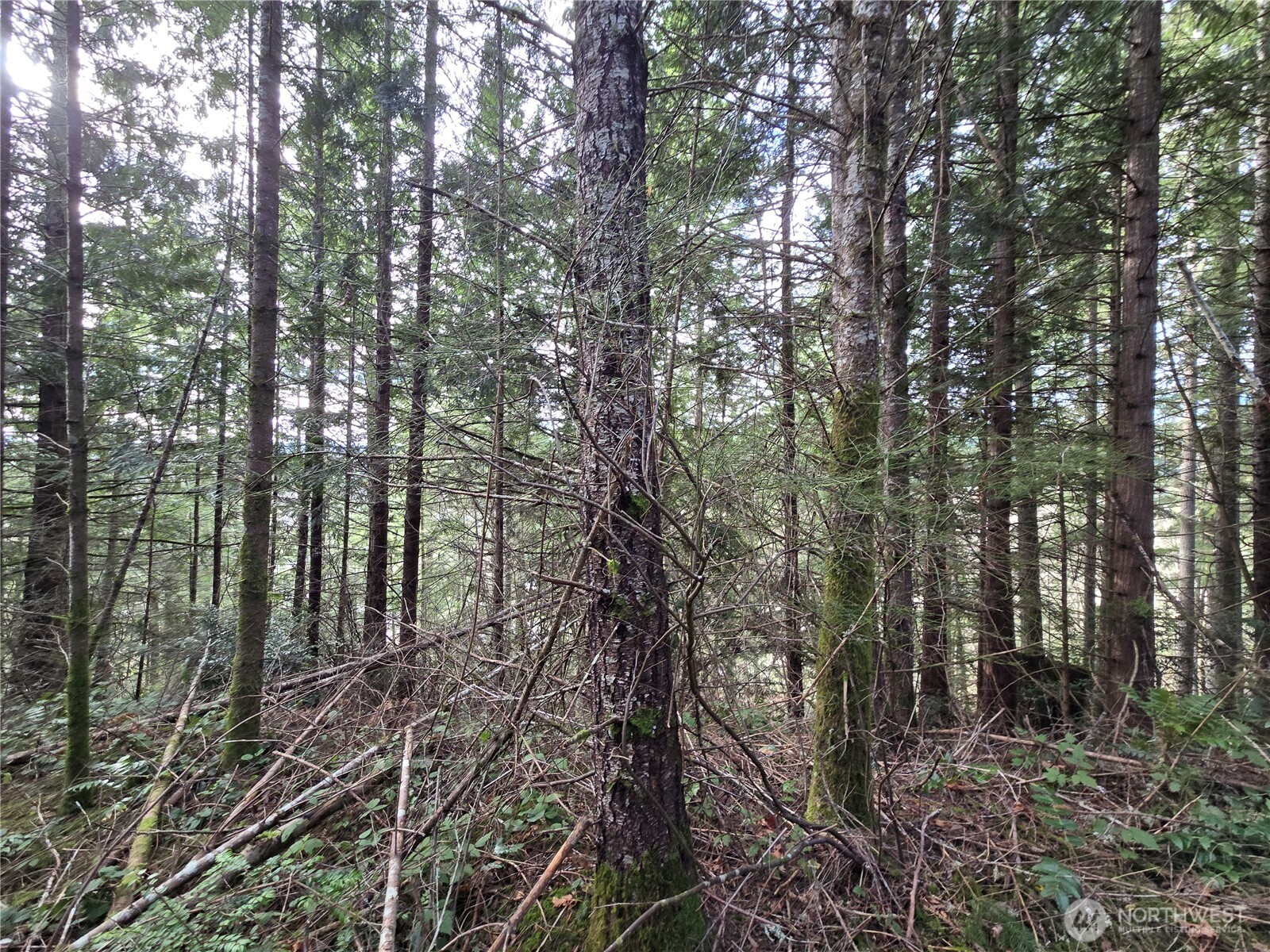 216 XX Bond Road NE, Poulsbo, WA 98370