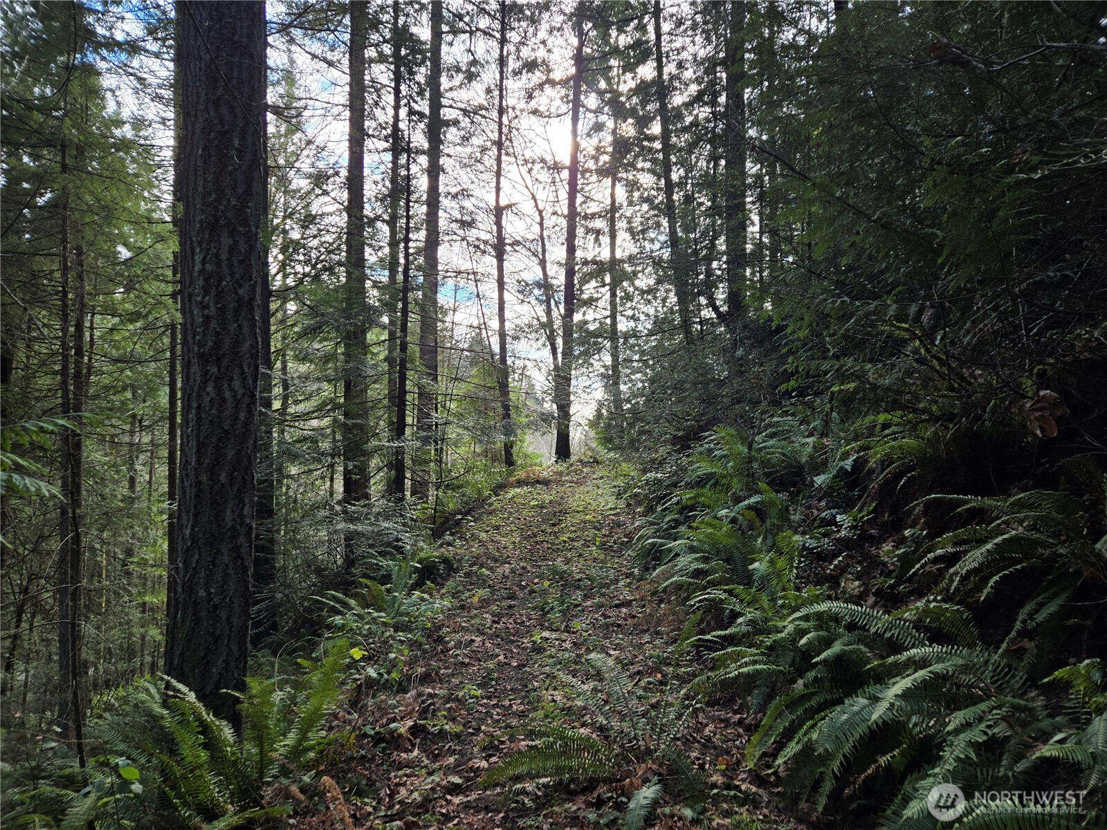 216 XX Bond Road NE, Poulsbo, WA 98370