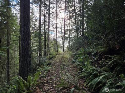 216 XX Bond Road NE, Poulsbo, WA 98370 - Photo 8