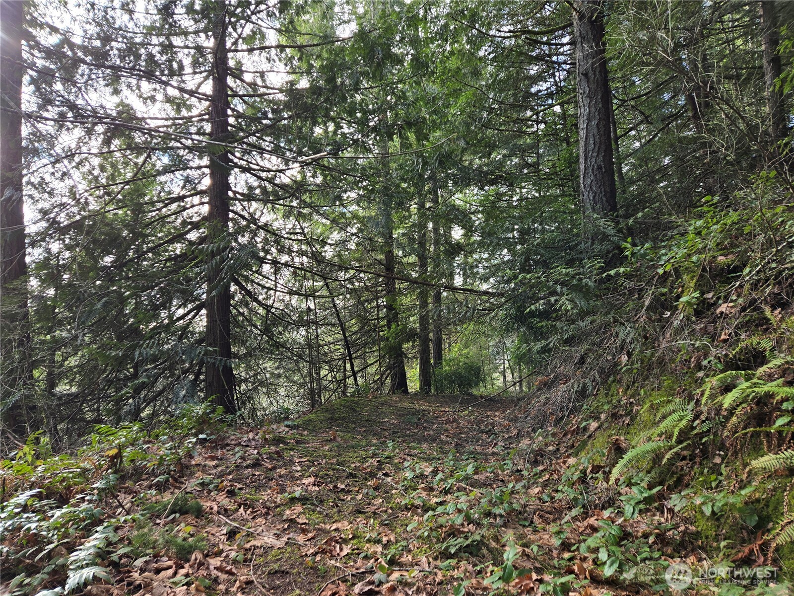 216 XX Bond Road NE, Poulsbo, WA 98370