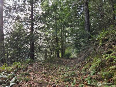 216 XX Bond Road NE, Poulsbo, WA 98370 - Photo 10