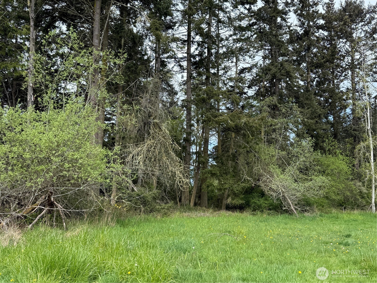 3 XX Bay View Street , Sequim, WA 98382