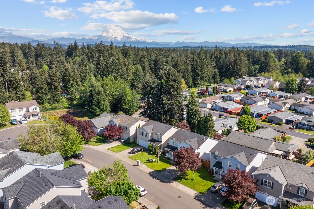10426 196th E, Graham, WA 98338-8428