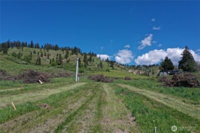 3 Ludwig Hill Rd , Peshastin, WA 98847 - Photo 5