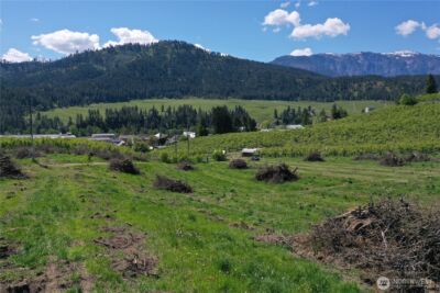 3 Ludwig Hill Rd , Peshastin, WA 98847 - Photo 8