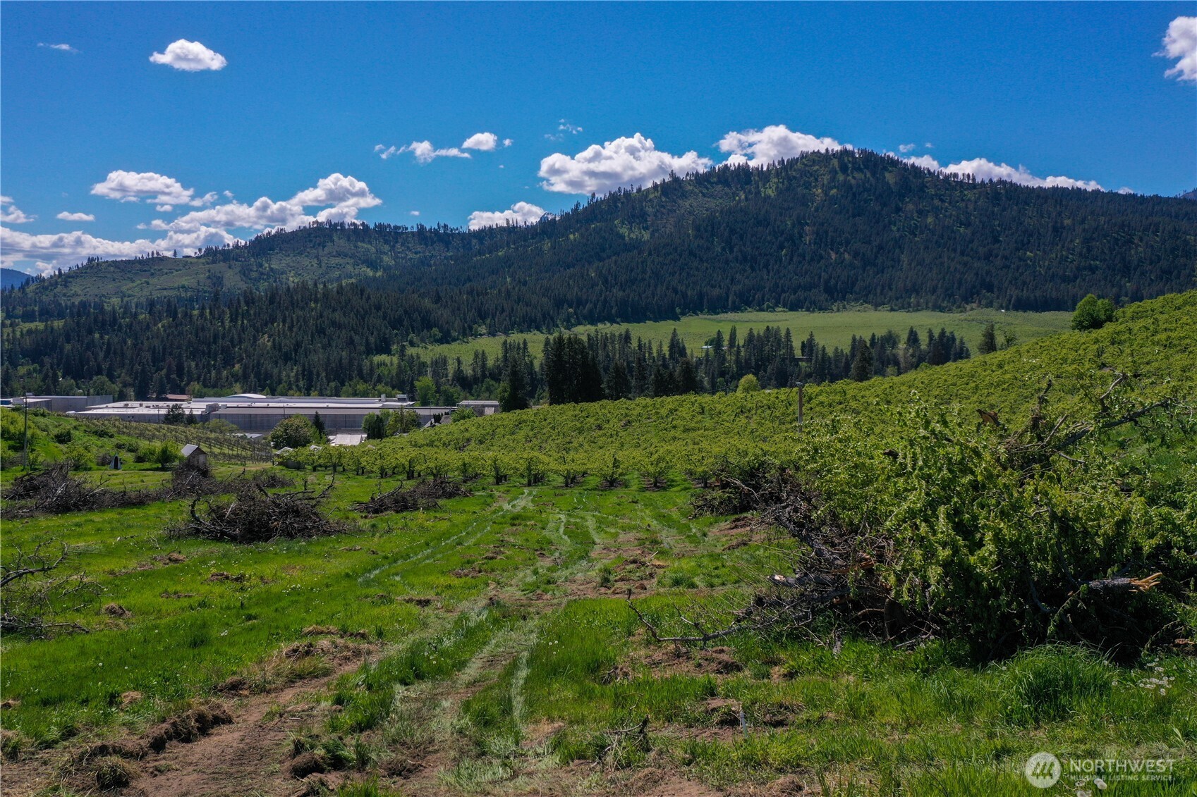 3 Ludwig Hill Rd , Peshastin, WA 98847