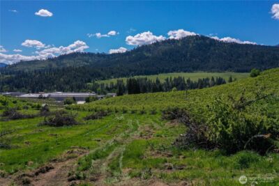 3 Ludwig Hill Rd , Peshastin, WA 98847 - Photo 9