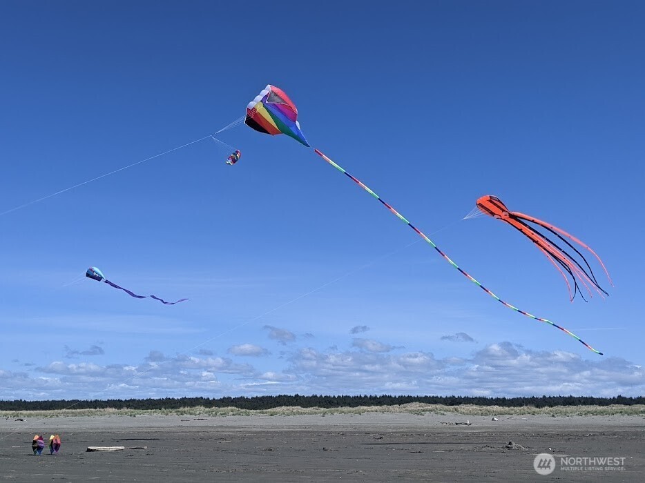 175 Jib Street NW, Ocean Shores, WA 98569-9337