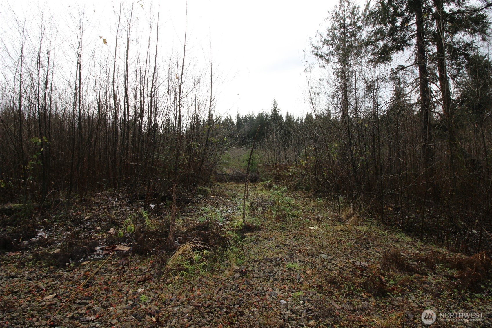 0 364th Avenue SE #9039, Maple Valley, WA 98038