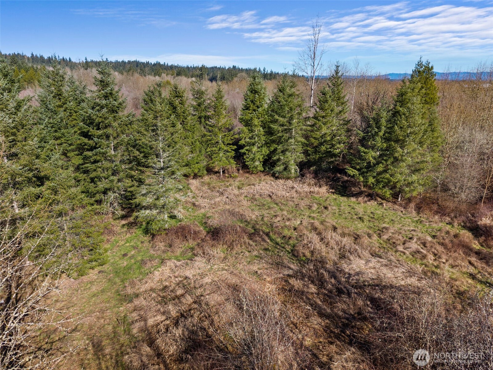 110 Frost Road , Winlock, WA 98596