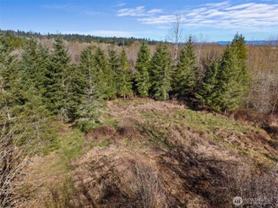 110 Frost Road , Winlock, WA 98596 - Photo 11