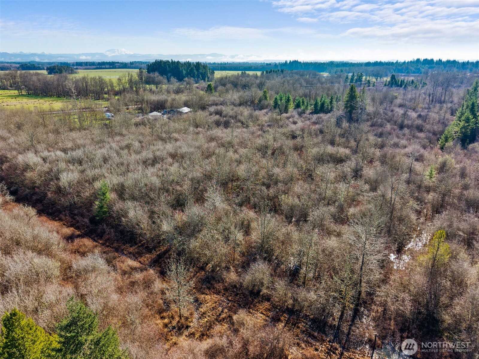 110 Frost Road , Winlock, WA 98596