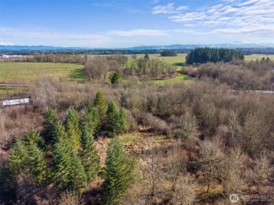 110 Frost Road , Winlock, WA 98596 - Photo 23