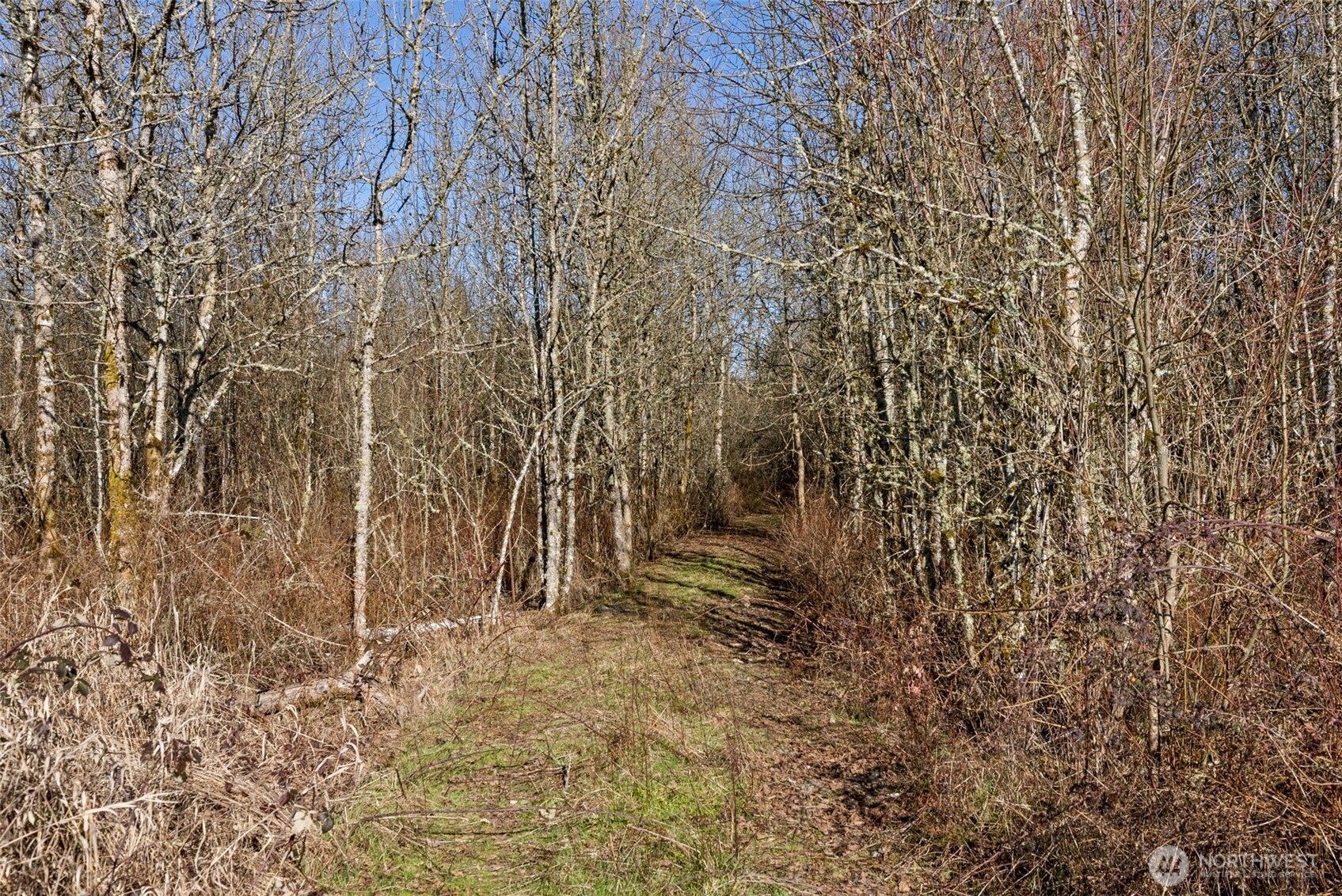 110 Frost Road , Winlock, WA 98596