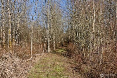 110 Frost Road , Winlock, WA 98596 - Photo 10