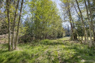 1344 Ripplebrook Drive , Port Angeles, WA 98362 - Photo 37