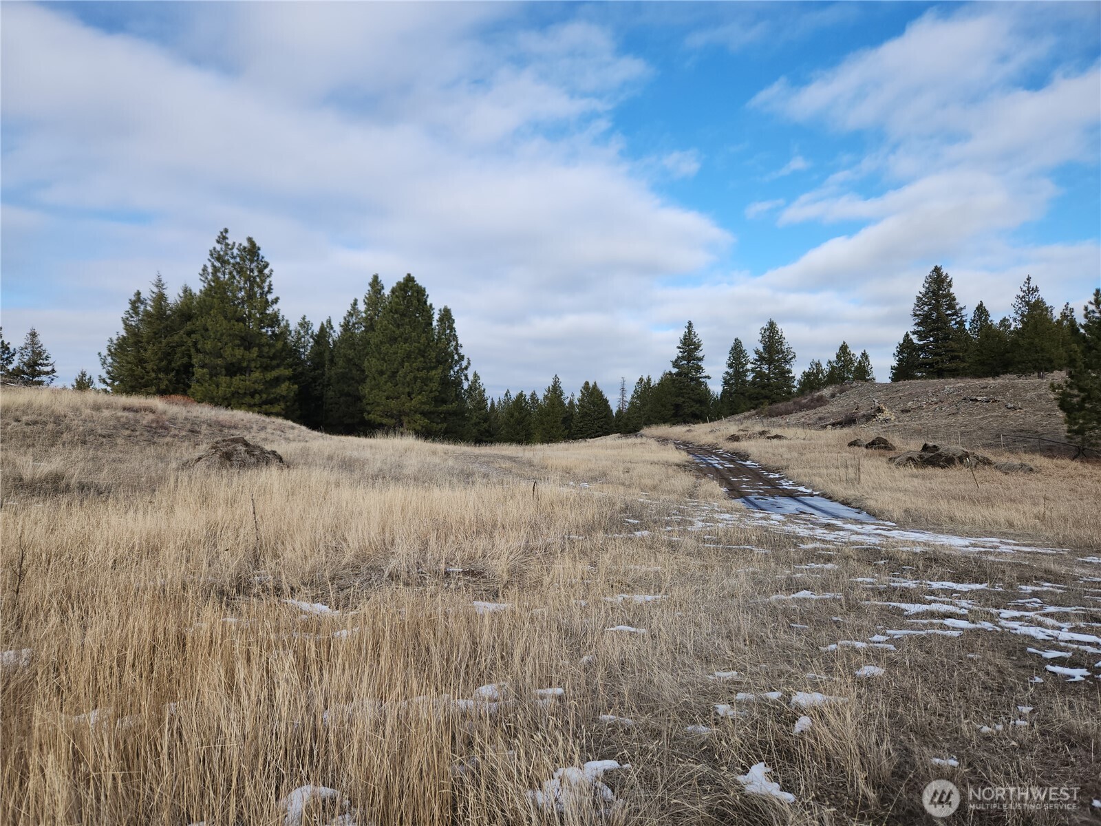 10 Mountain View Road , Republic, WA 99166