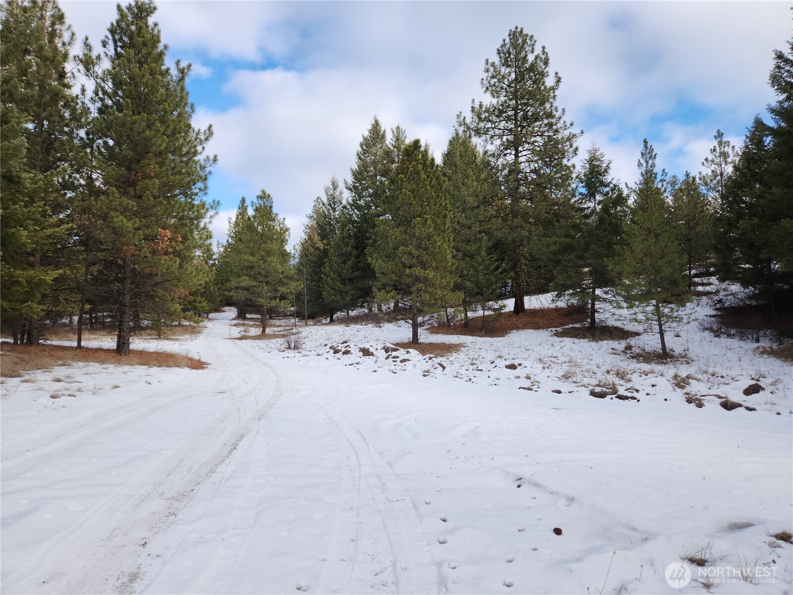 10 Mountain View Road , Republic, WA 99166