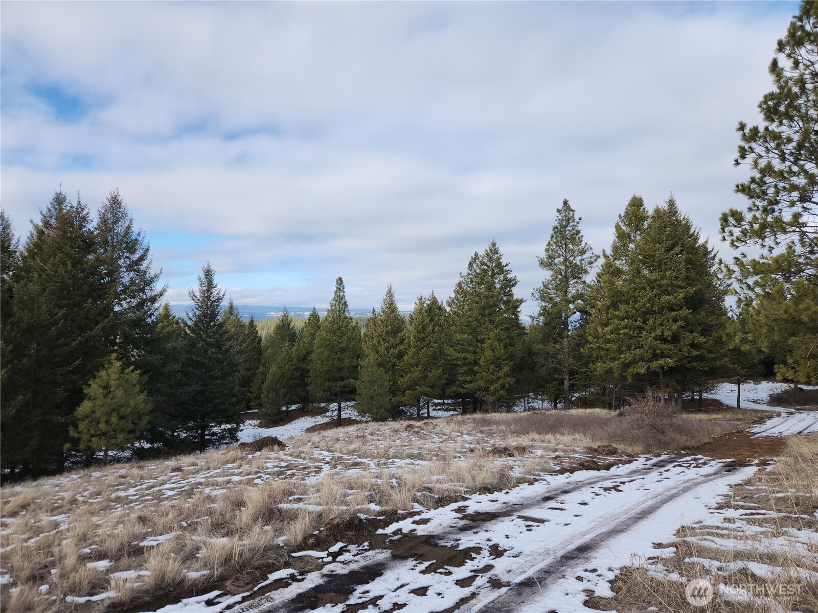 10 Mountain View Road , Republic, WA 99166