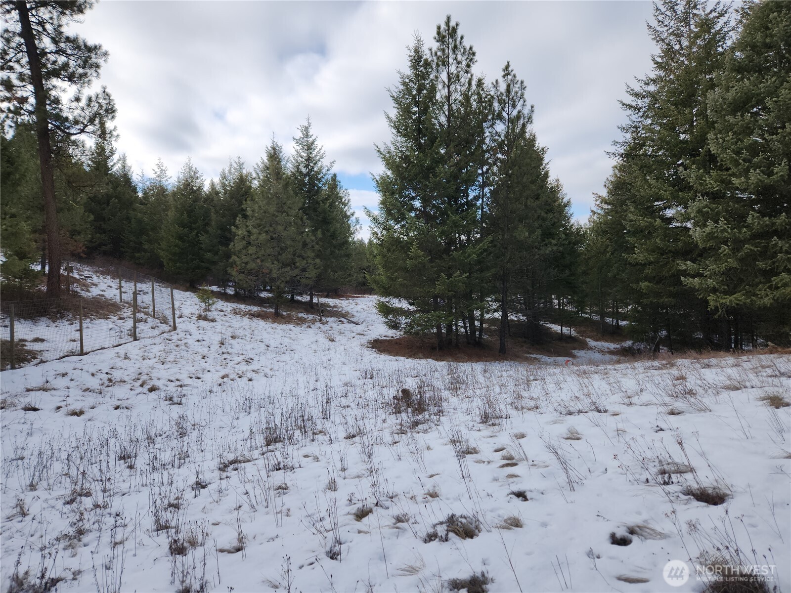 10 Mountain View Road , Republic, WA 99166