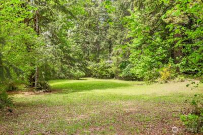 3480 NE Belfair Tahuya Road , Tahuya, WA 98588 - Photo 8