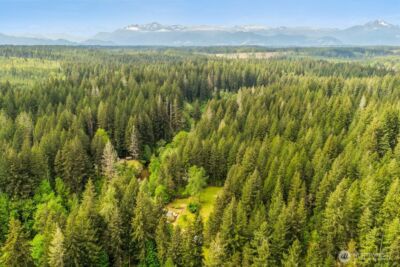 3480 NE Belfair Tahuya Road , Tahuya, WA 98588 - Photo 9