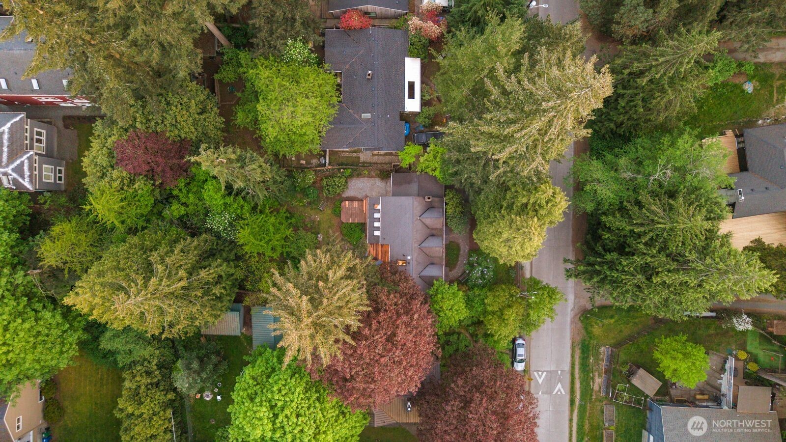 12746 10th Avenue NE, Seattle, WA 98125