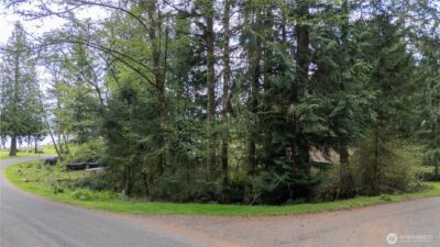 10501 105th Ave Court , Anderson Island, WA 98303 - Photo 2