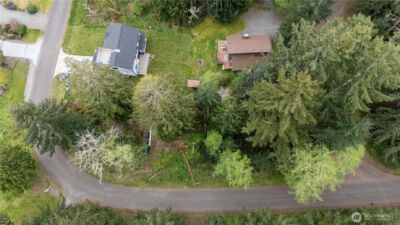 10501 105th Ave Court , Anderson Island, WA 98303 - Photo 3