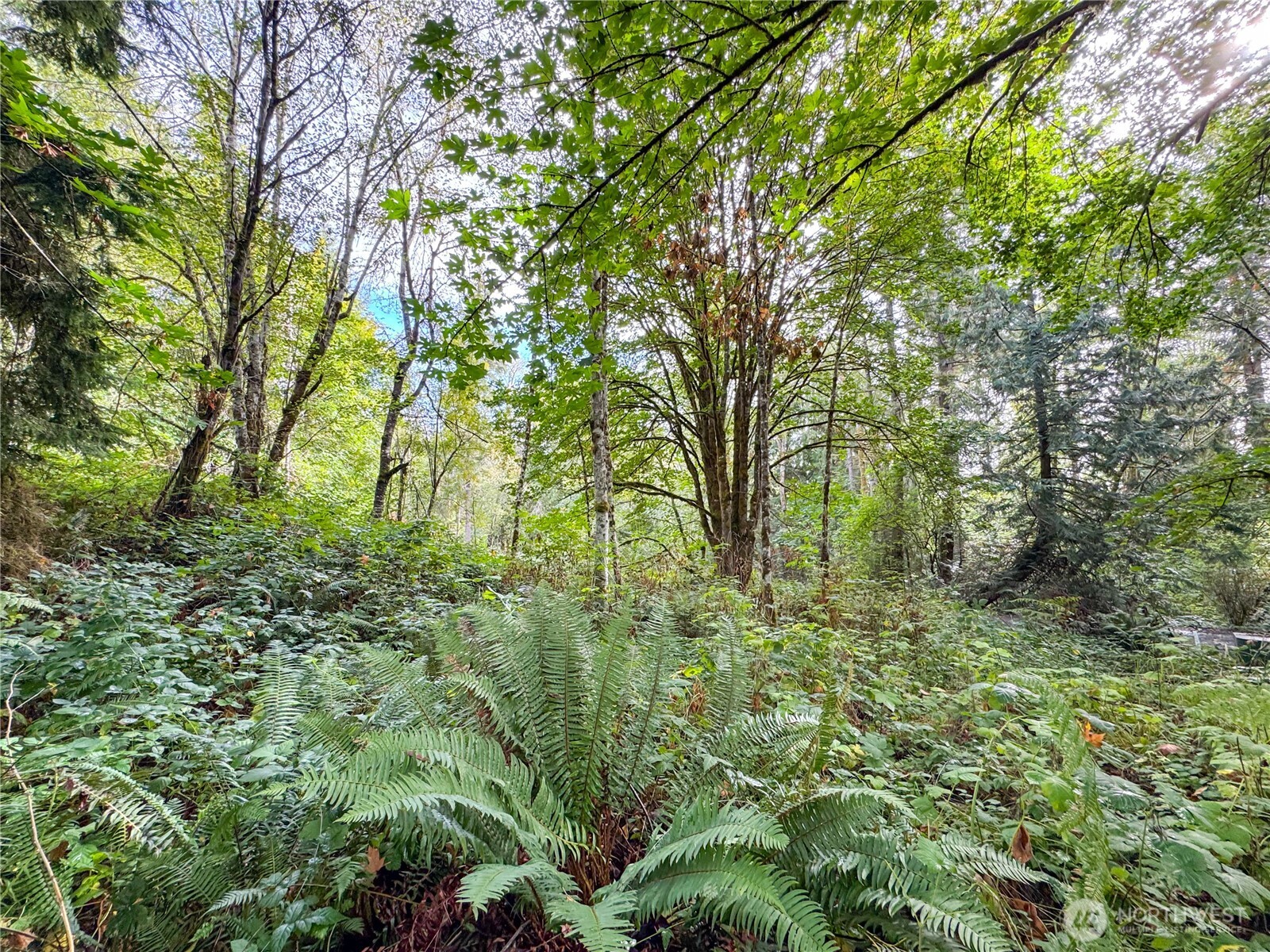 120 184th Avenue Ct NW, Lakebay, WA 98349