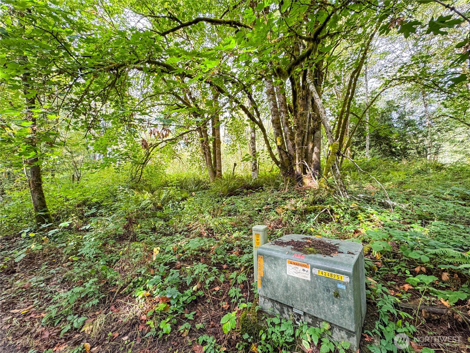 120 184th Avenue Ct NW, Lakebay, WA 98349