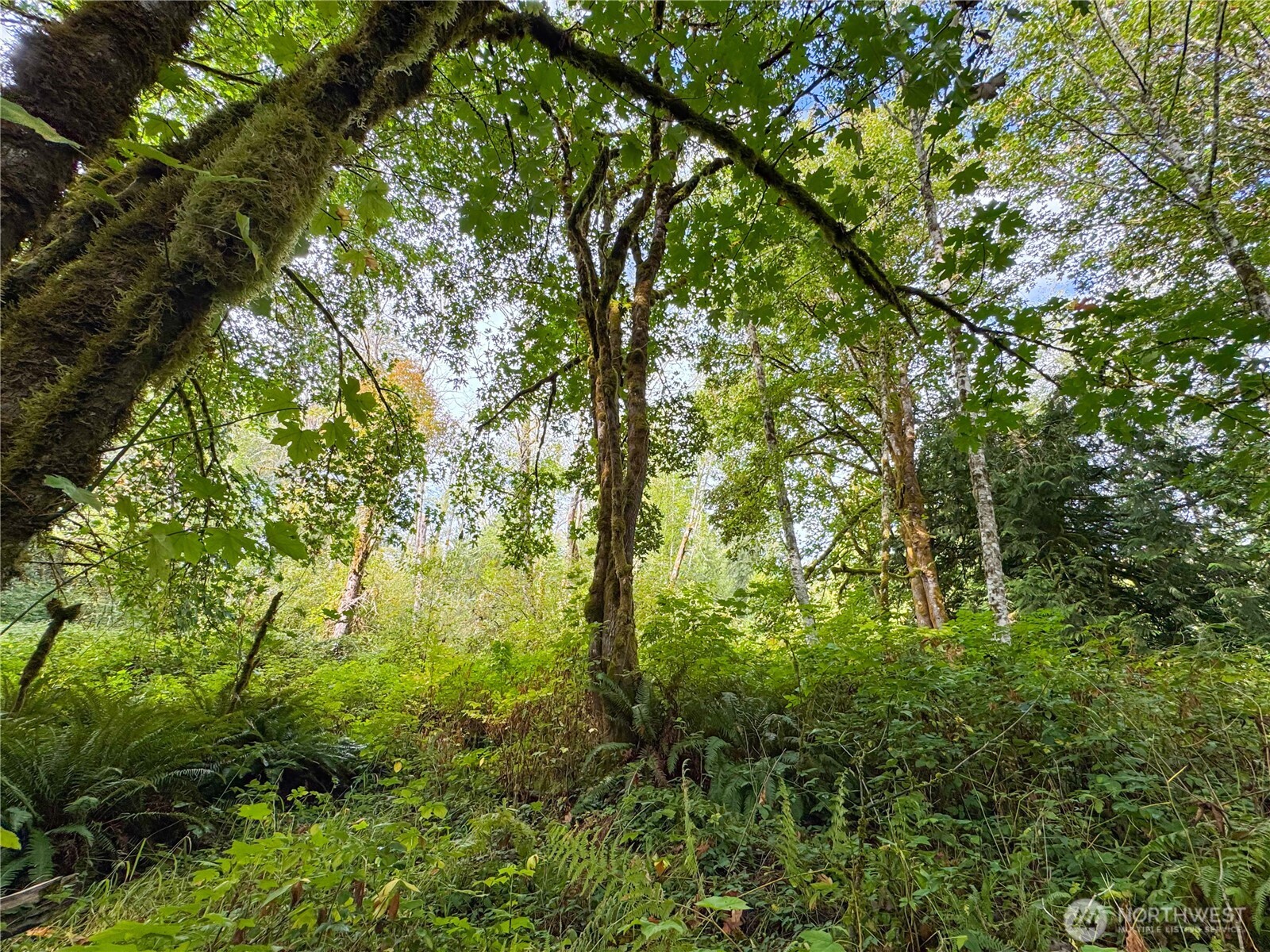 120 184th Avenue Ct NW, Lakebay, WA 98349
