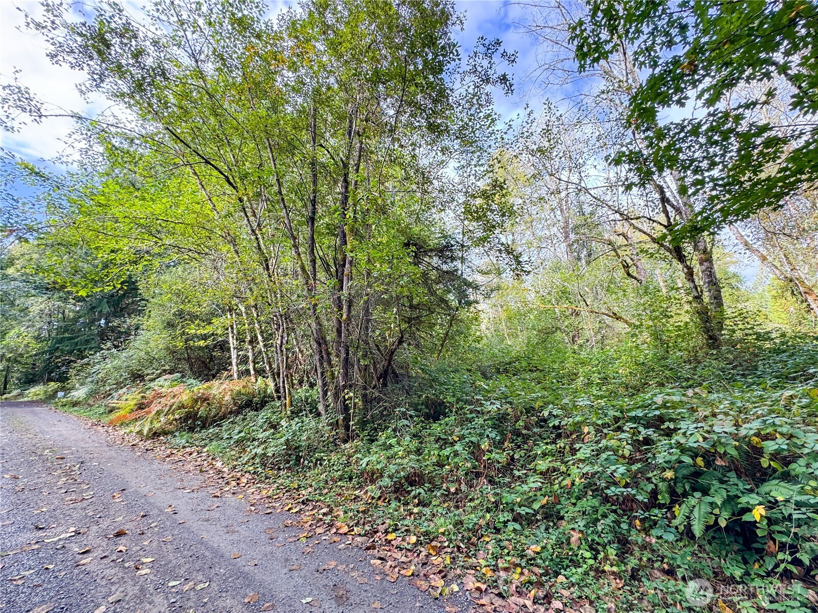 120 184th Avenue Ct NW, Lakebay, WA 98349