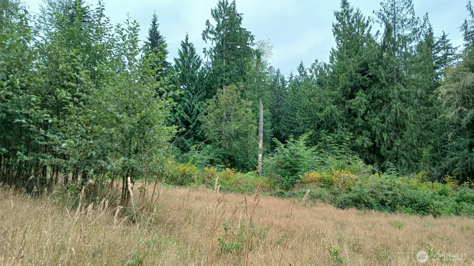 12400 212th Street NE, Arlington, WA 98223