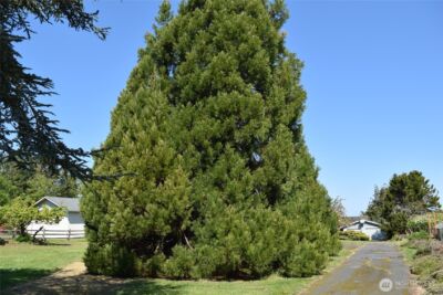 432 W Anderson Road , Sequim, WA 98382 - Photo 36