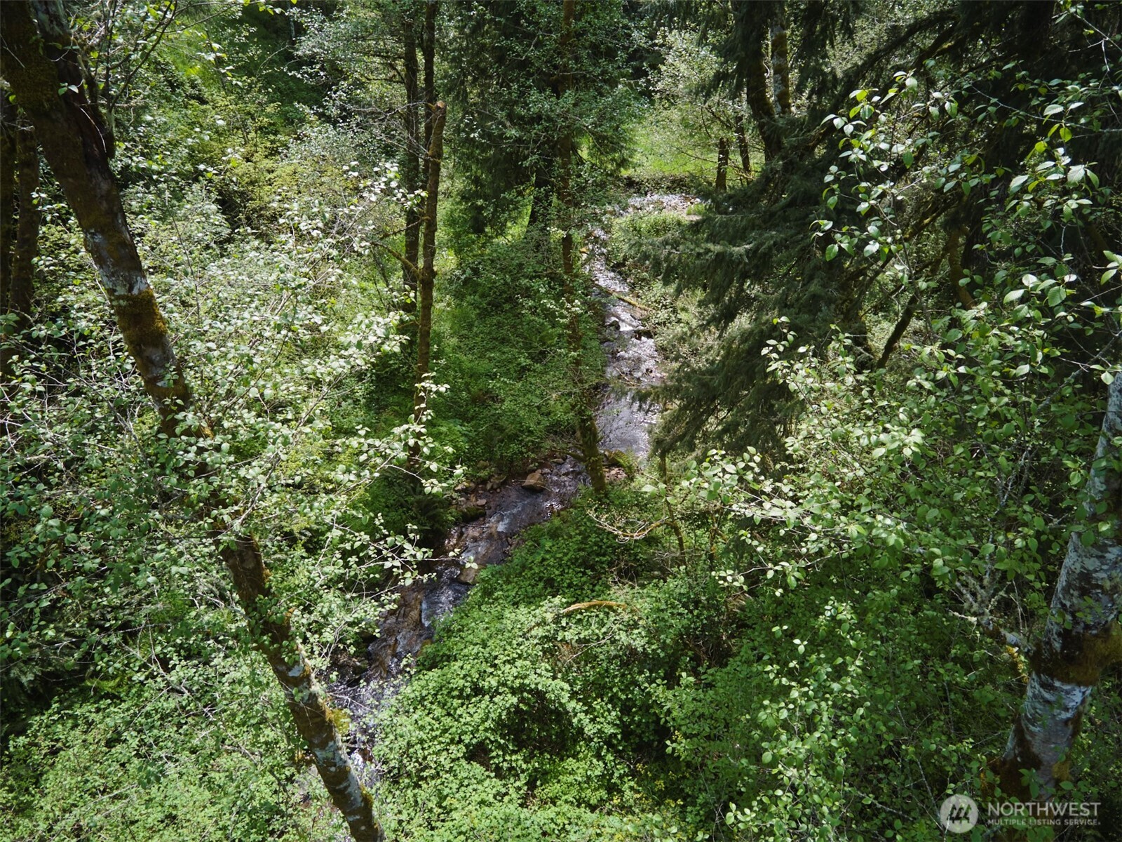 140 Skinner Road , Woodland, WA 98674