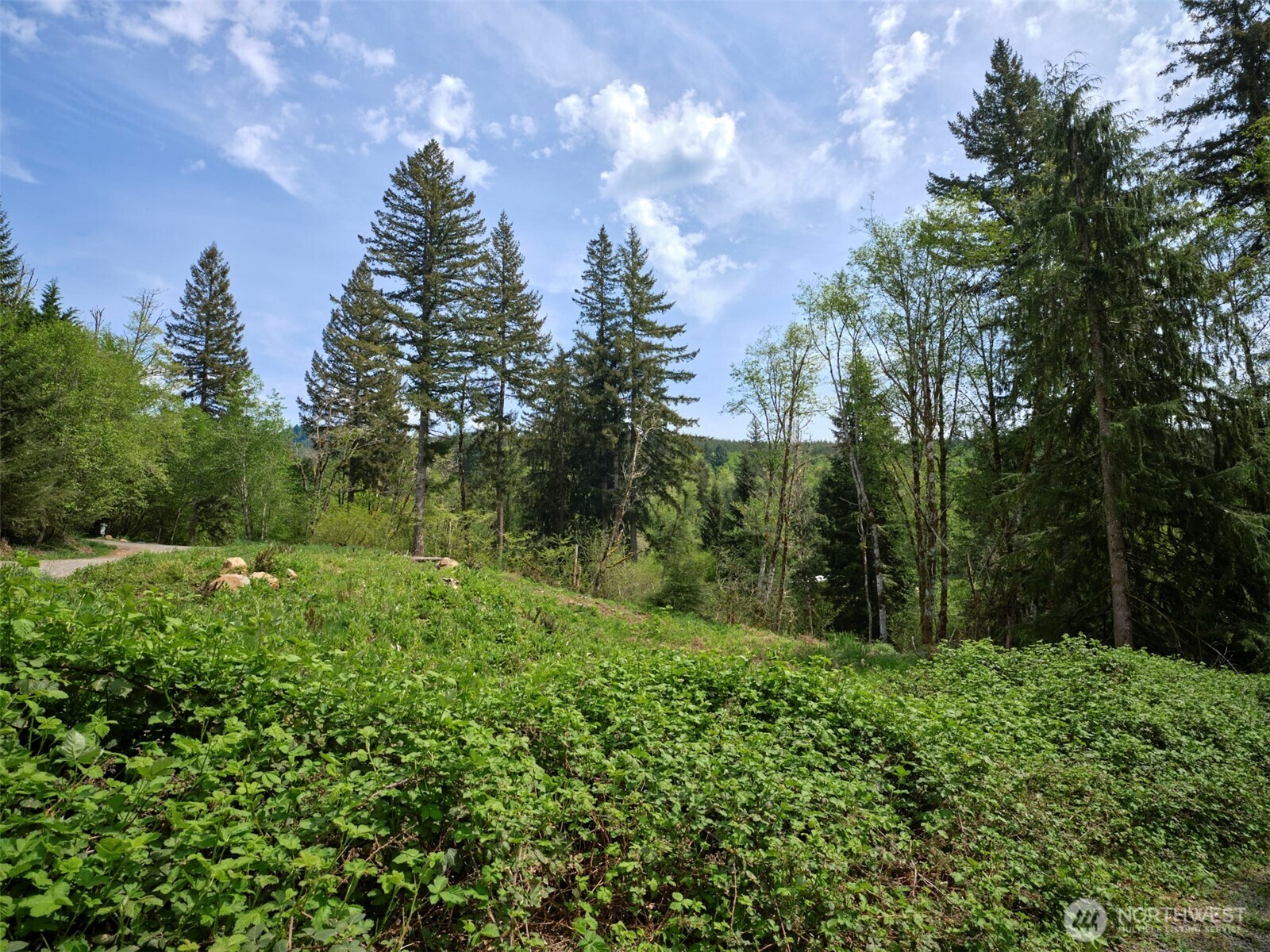 140 Skinner Road , Woodland, WA 98674