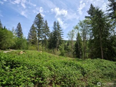 140 Skinner Road , Woodland, WA 98674 - Photo 12