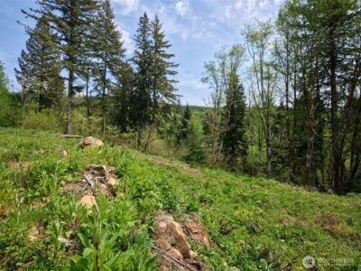 140 Skinner Road , Woodland, WA 98674 - Photo 13